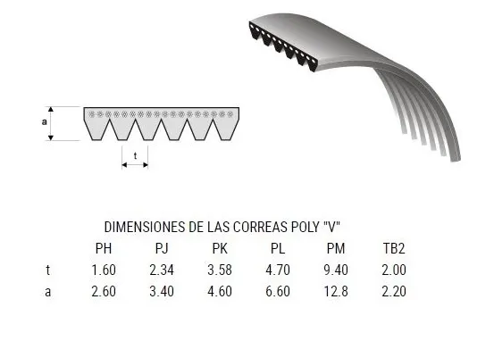 Correias Micro-V (Poly V, Poly Rib) – TB2 / TB2.34 / PH / PJ / PL / PM